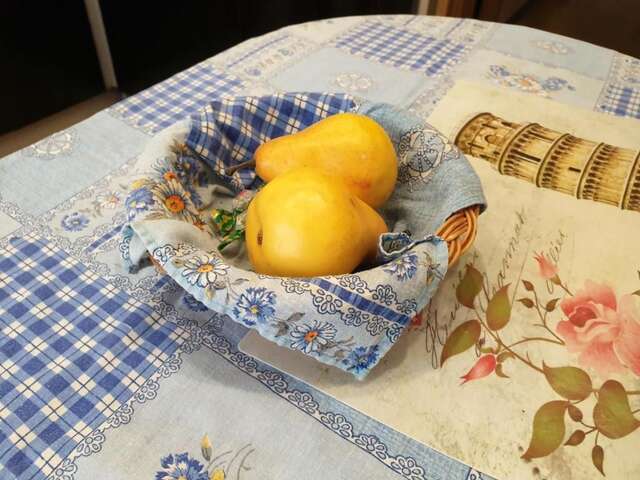 Апартаменты Апартаменты MANGO вблизи ГРАНИЦЫ Брест-49